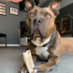 Meet your Posher, Krista